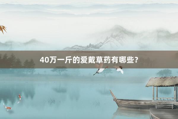 40万一斤的爱戴草药有哪些?