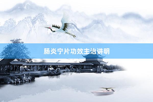 肠炎宁片功效主治讲明